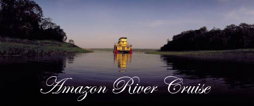 amazon cruise amazon cruise