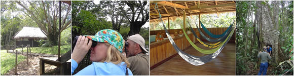cuyabeno lodge