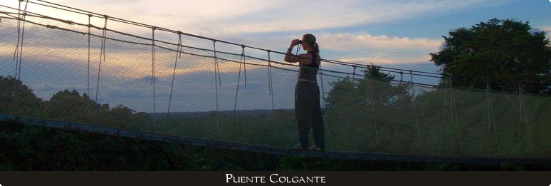 puente ceiba