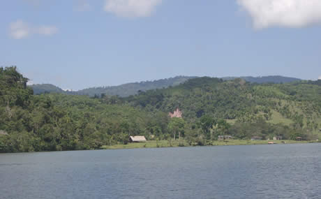 tarapoto sauce